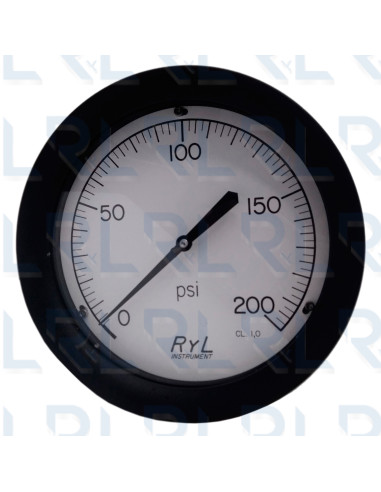 Manómetro Caja Aluminio 10", Conexión Trasera...