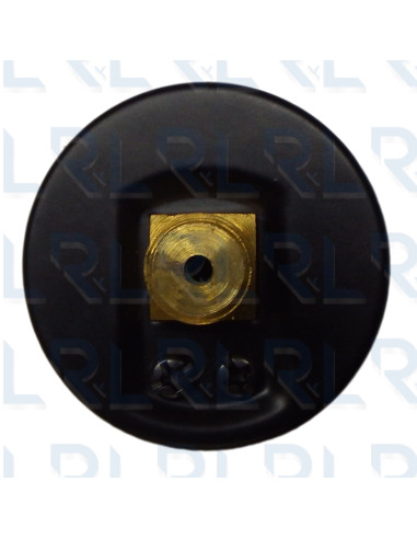  Conexión Trasera 1/4" NPT en Bronce