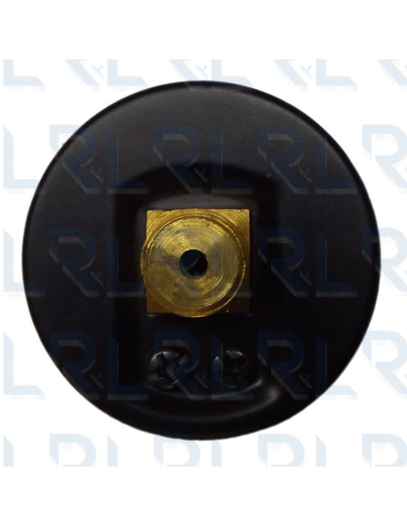  Conexión Trasera 1/4" NPT en Bronce