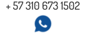 RyL Soporte Online